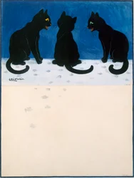 Zwarte katten in de sneeuw